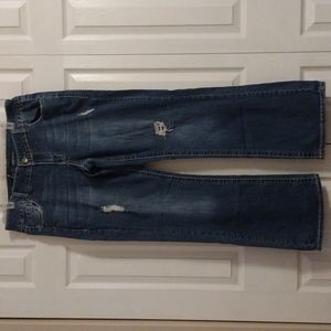 Lane Bryant Bootcut Jeans